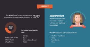 Example of an infographic